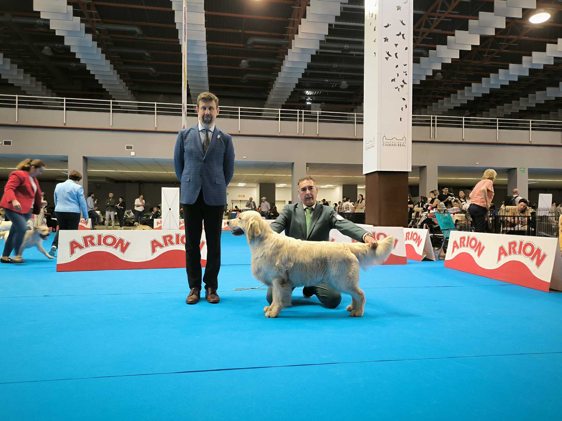 premio Golden Retriever