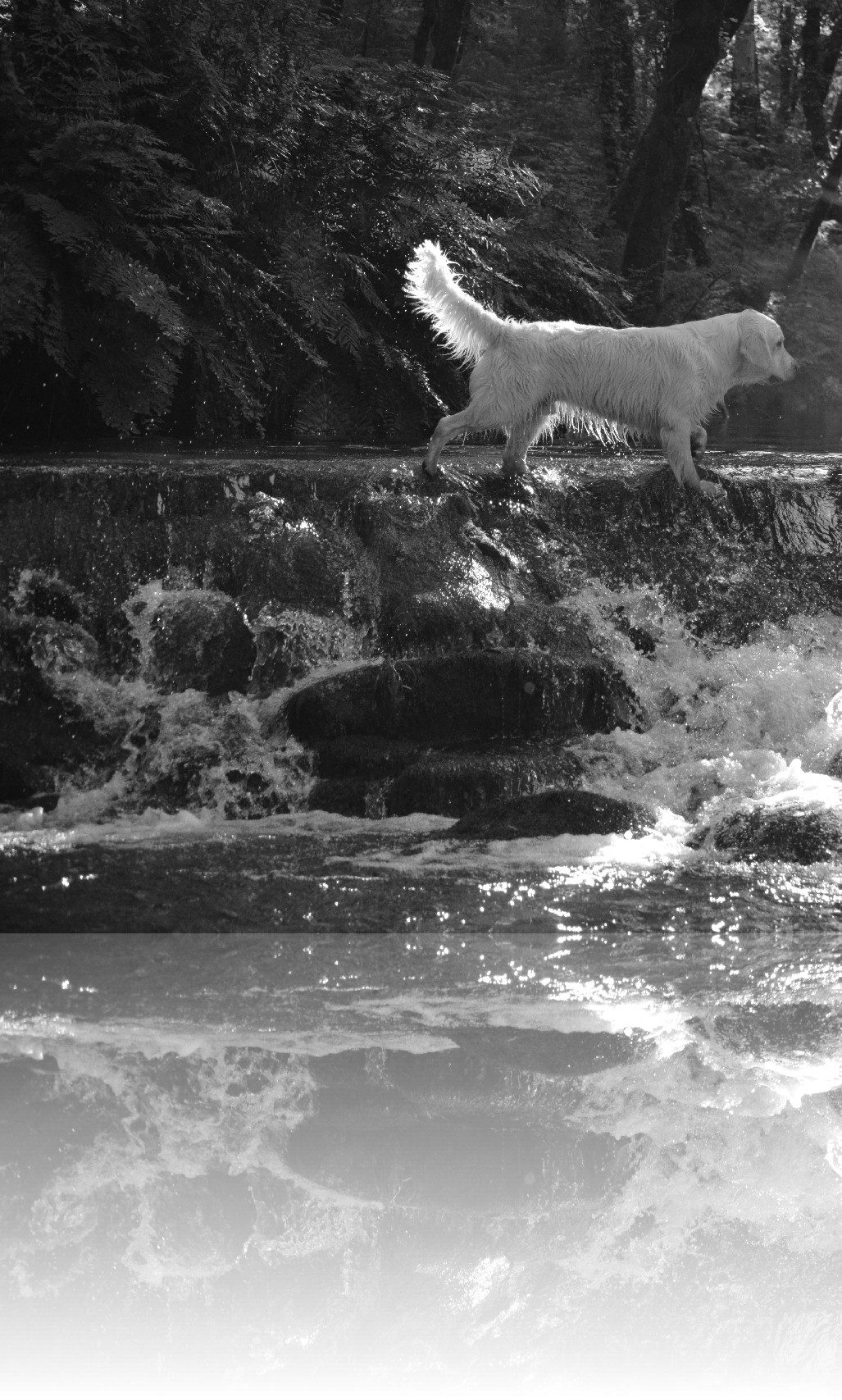 refl_agua28_jpg_5bbab481a0f731f8dadaf4b7a709f3c2